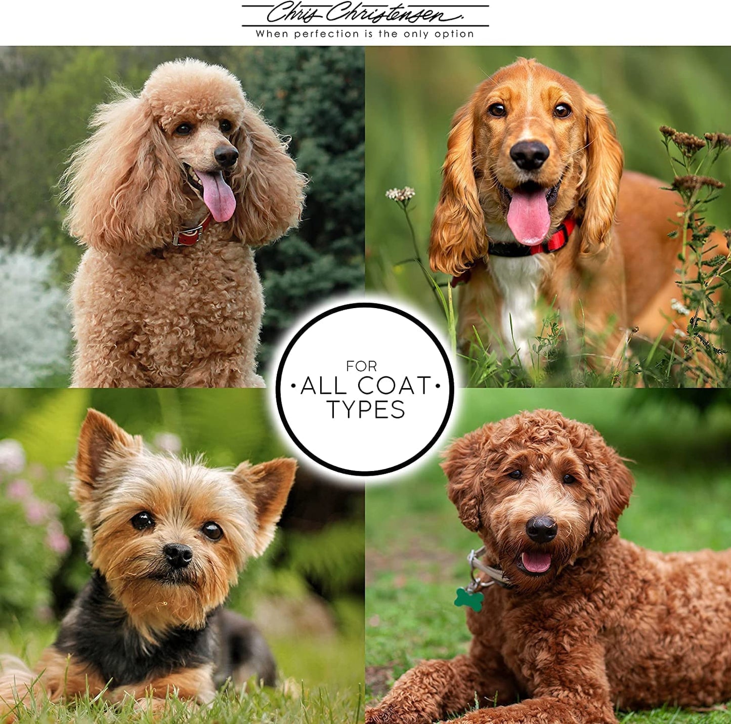 Professional Dog Shampoo - Peace & Kindness Formula for Skin Issues with Colloidal Silver - 64 Oz.