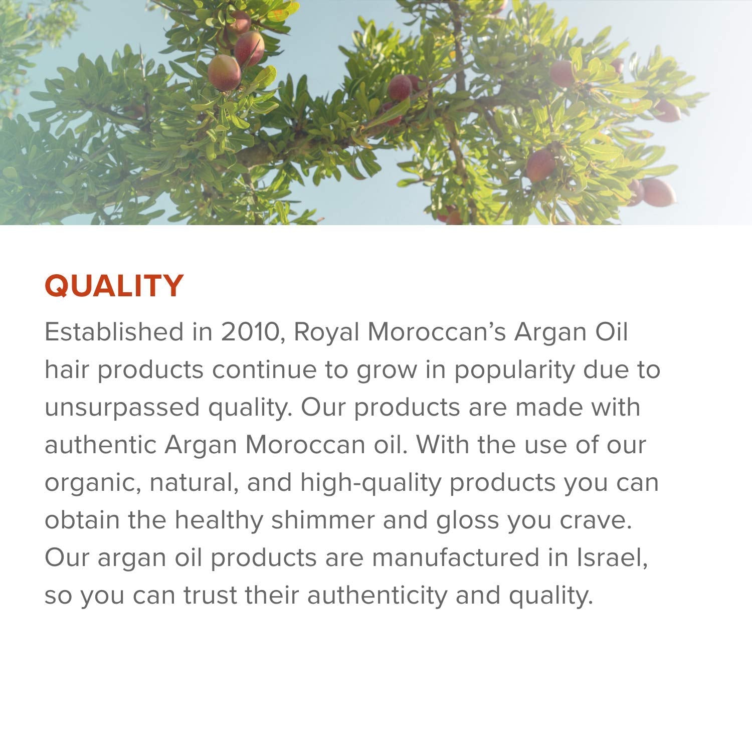 Transform Your Hair with the Best Silver Shampoo! 💜✨ 300ml of Anti-Yellow Magic for Blondes & Grays! Paraben-Free & Infused with Argan Oil! #HairGoals #SilverShampoo