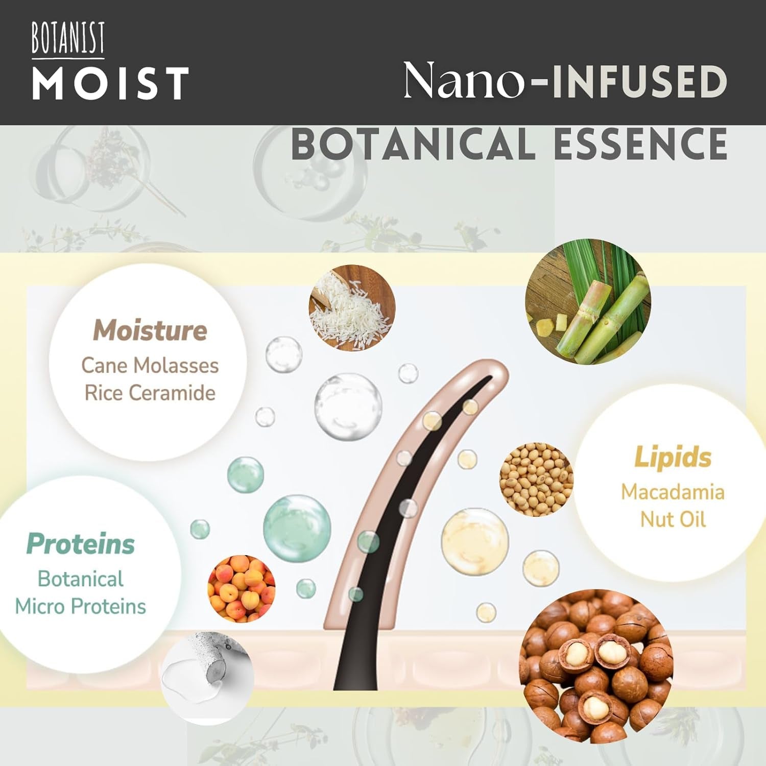 Hydrating Shampoo for Men and Women with Curly Hair, Enriched with Collagen, Jojoba Oil Extract, and Keratin, Paraben and Sulfate Free, 15.5 Fl Oz, Apricot and Jasmine Scent, Includes Pump, Pack of 2