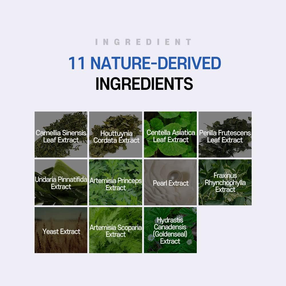 TS New TS Cool Shampoo | Cooling Korean Shampoo with Mint & Tea Tree Oil | Hair Loss Care with Dexpanthenol, Salicylic Acid | Suitable for Oily Scalp (17.6 Fl Oz)