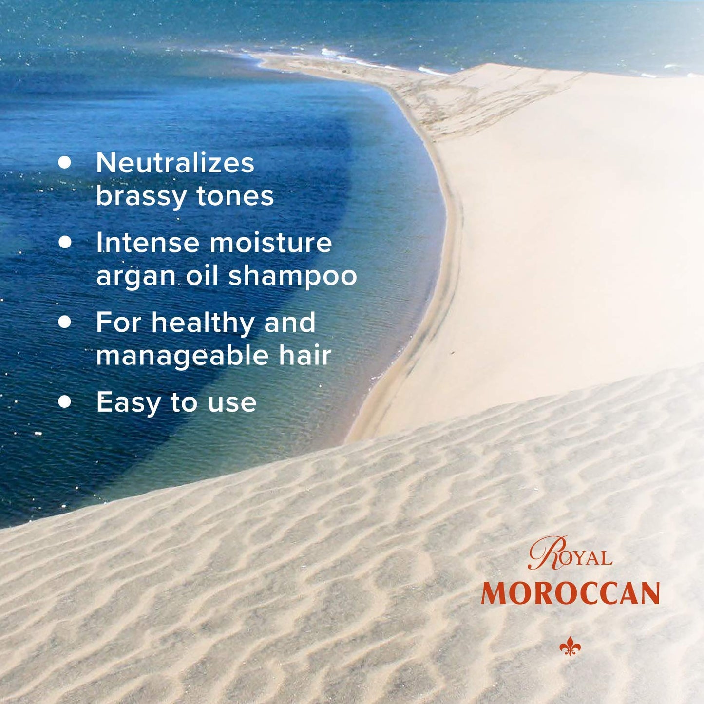 Transform Your Hair with the Best Silver Shampoo! 💜✨ 300ml of Anti-Yellow Magic for Blondes & Grays! Paraben-Free & Infused with Argan Oil! #HairGoals #SilverShampoo