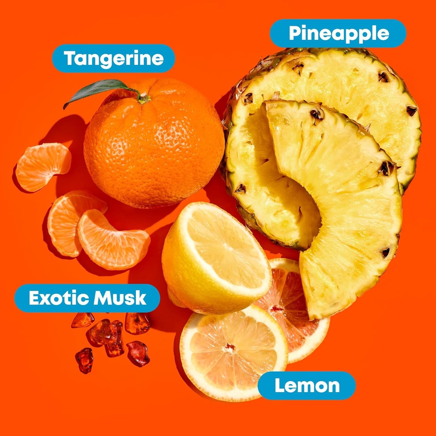 Transform Your Tresses with Mega Sleek Shampoo & Conditioner! Say Goodbye to Frizz and Hello to Nourished, Smooth Hair! 🌟✨ #HairGoals #VeganBeauty