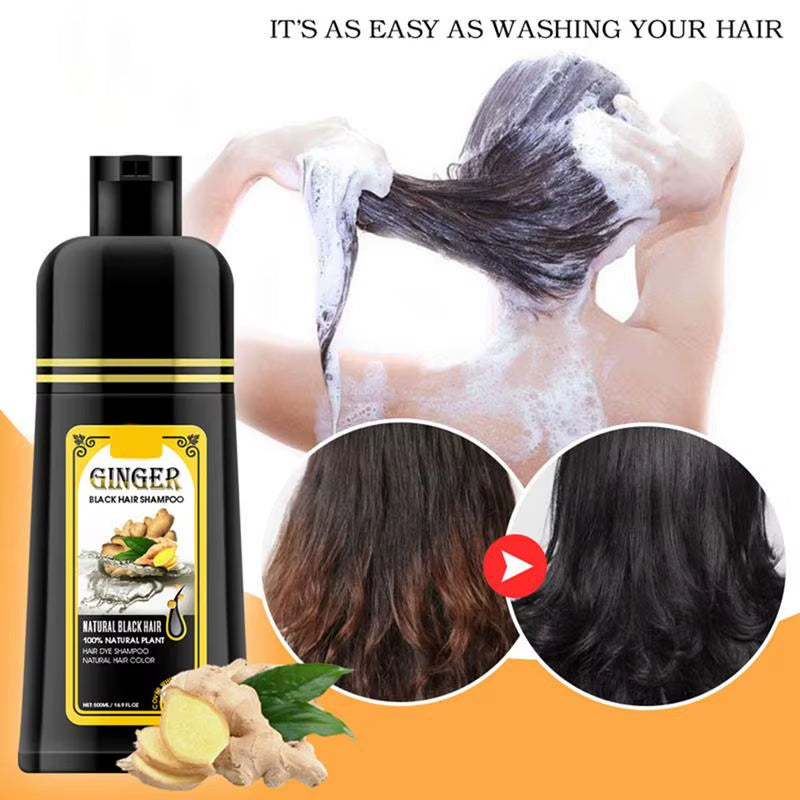 Herbal Black Hair Dye Shampoo 500ml - Effectively Eliminate White Hair
