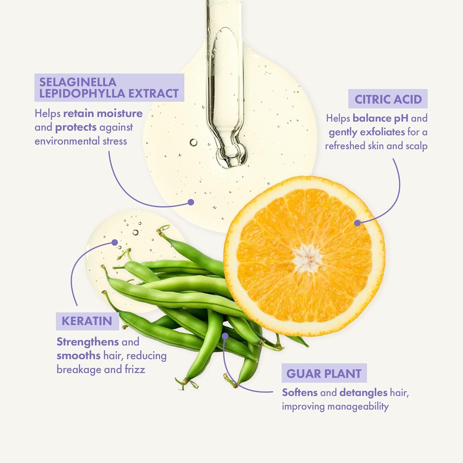 Balancing Sulfate-Free Shampoo for Color-Treated Hair, Suitable for Men and Women with Curly Hair - 10.1 Fl Oz