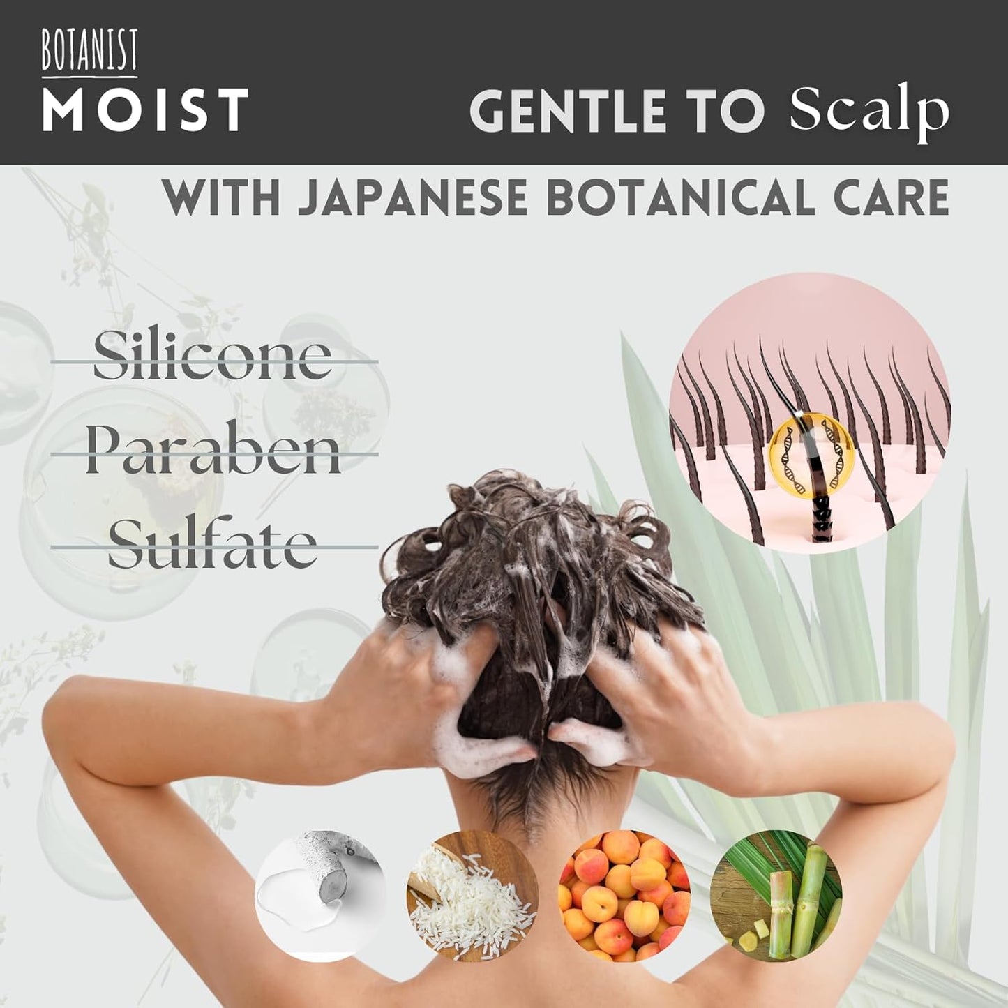 Hydrating Shampoo for Men and Women with Curly Hair, Enriched with Collagen, Jojoba Oil Extract, and Keratin, Paraben and Sulfate Free, 15.5 Fl Oz, Apricot and Jasmine Scent, Includes Pump, Pack of 2