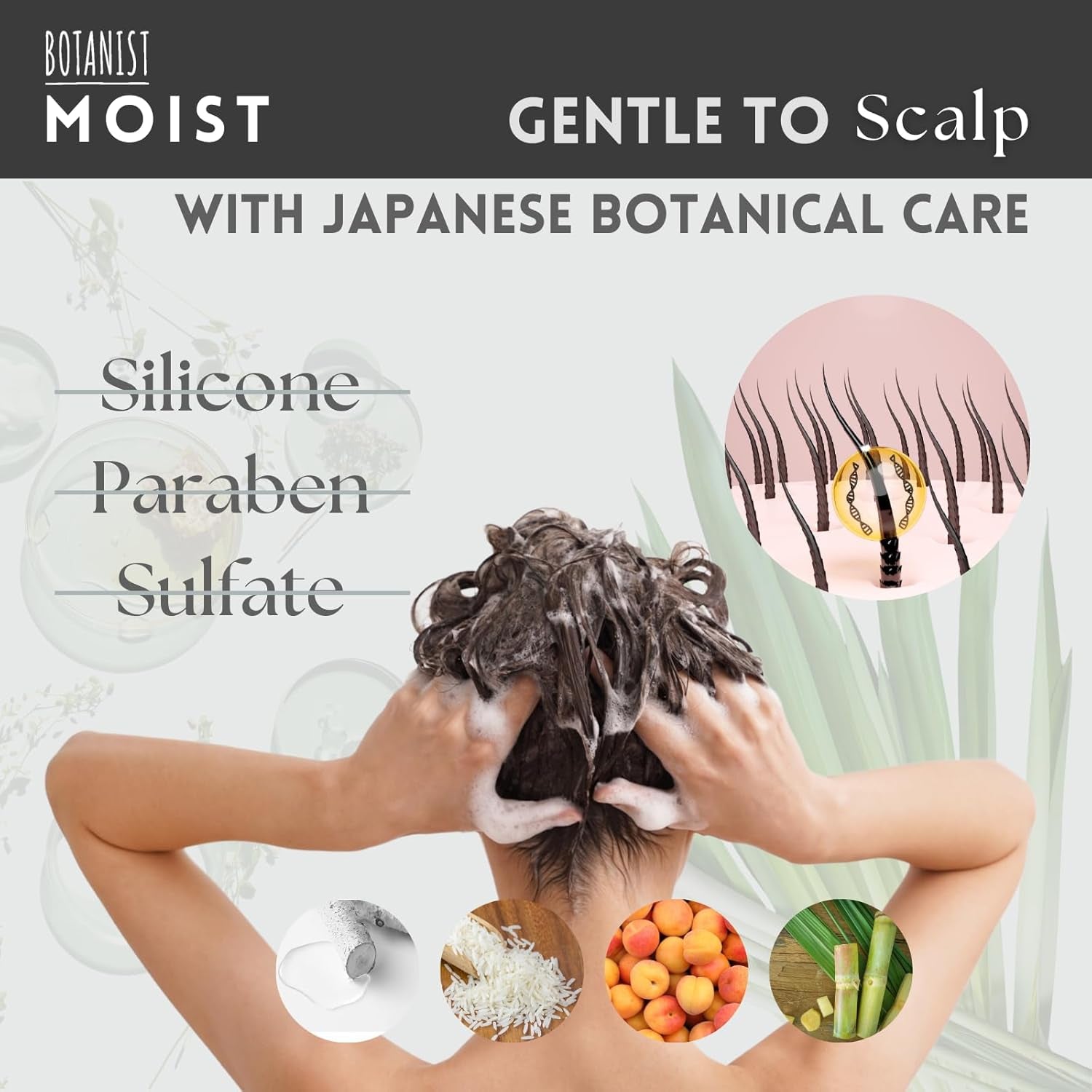 Hydrating Shampoo for Men and Women with Curly Hair, Enriched with Collagen, Jojoba Oil Extract, and Keratin, Paraben and Sulfate Free, 15.5 Fl Oz, Apricot and Jasmine Scent, Includes Pump, Pack of 2